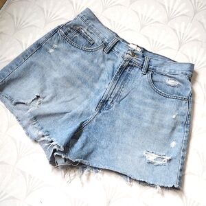 BDG Light Blue Jean Shorts